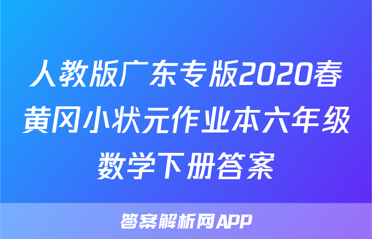 人教版广东专版2020春黄冈小状元作业本六年级数学下册答案