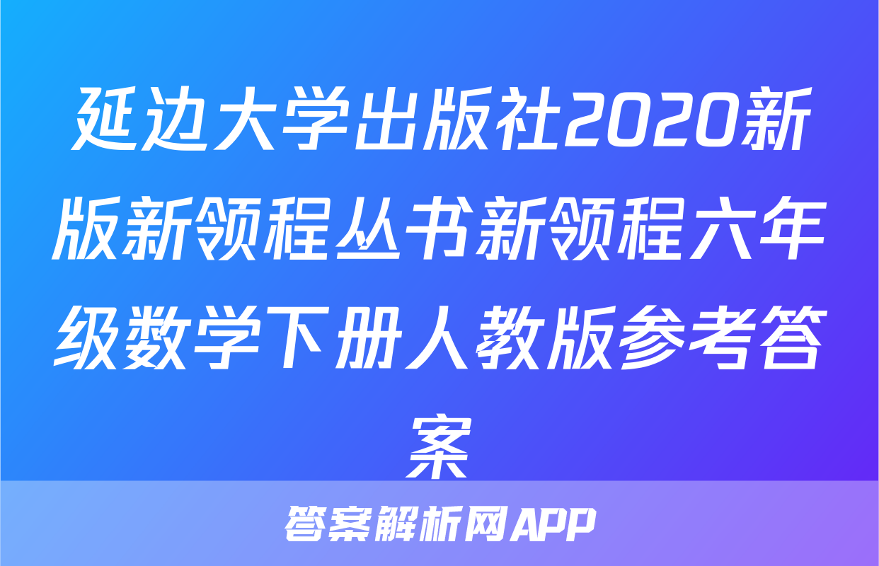 延边大学出版社2020新版新领程丛书新领程六年级数学下册人教版参考答案
