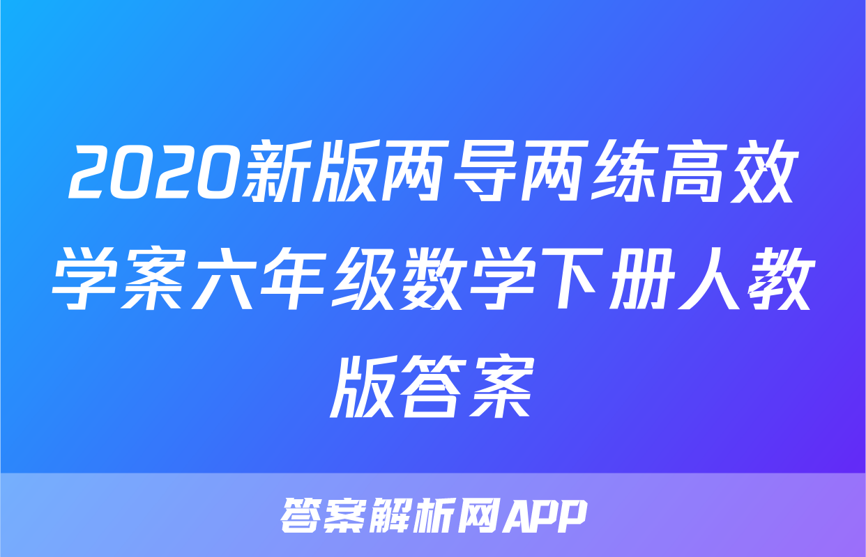 2020新版两导两练高效学案六年级数学下册人教版答案
