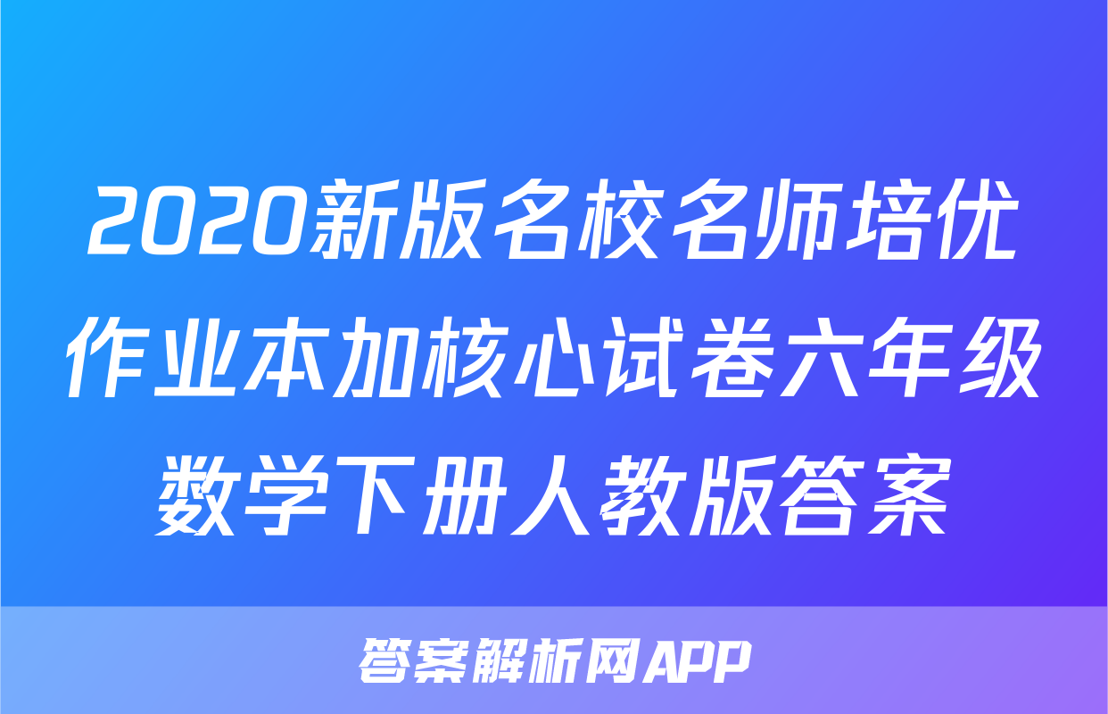 2020新版名校名师培优作业本加核心试卷六年级数学下册人教版答案