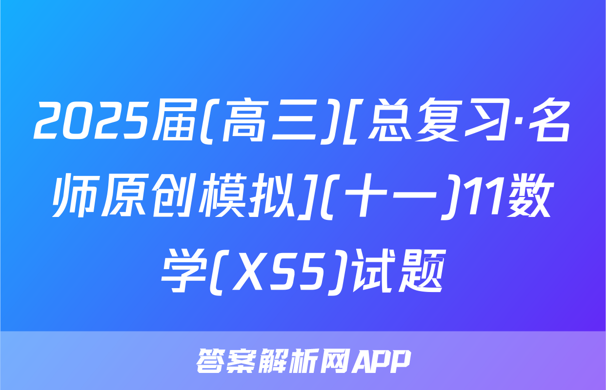 2025届(高三)[总复习·名师原创模拟](十一)11数学(XS5)试题