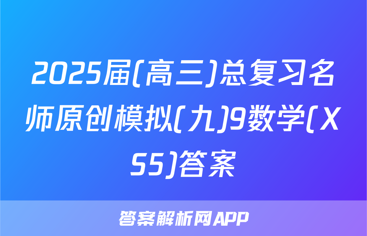 2025届(高三)总复习名师原创模拟(九)9数学(XS5)答案