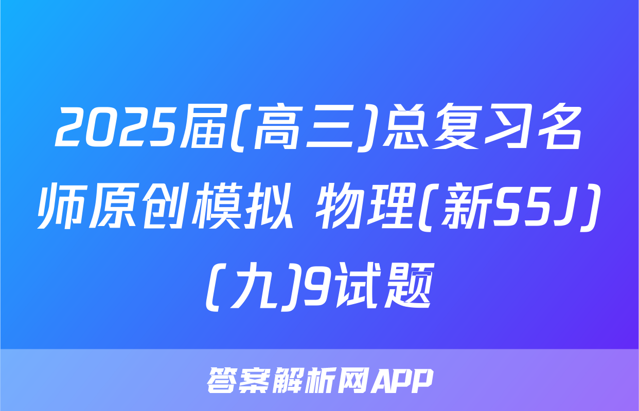 2025届(高三)总复习名师原创模拟 物理(新S5J)(九)9试题