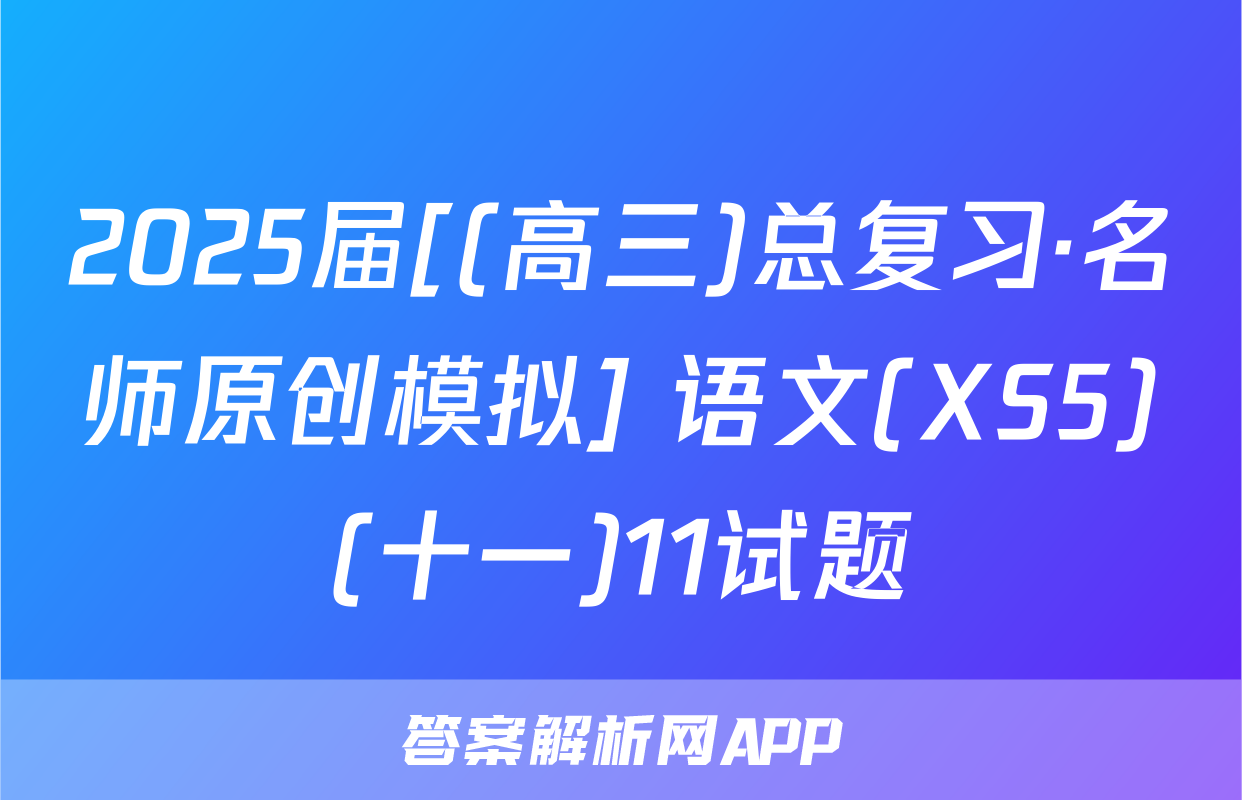 2025届[(高三)总复习·名师原创模拟] 语文(XS5)(十一)11试题